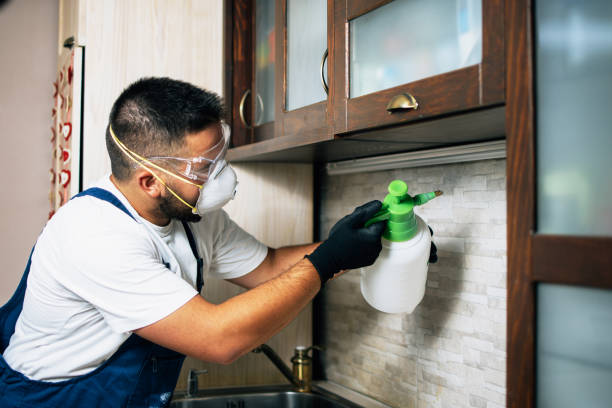 Reliable Timberlane, LA Pest Control Solutions