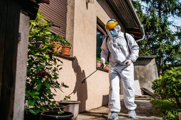 Best Wildlife Control Services  in Timberne, LA