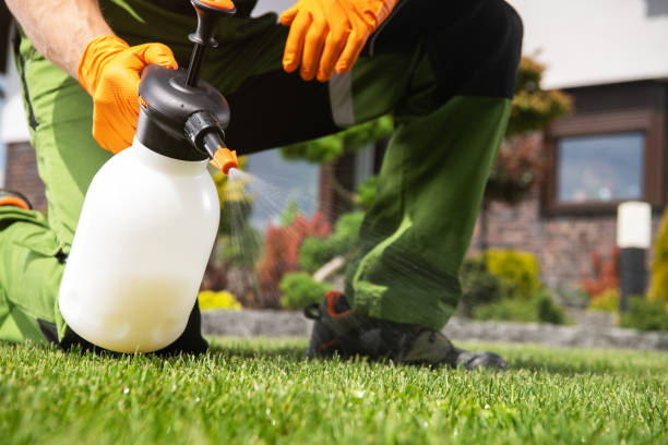 Best Affordable Pest Control Services  in Timberne, LA