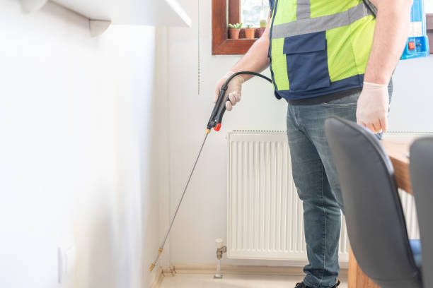 Best Affordable Pest Control Services  in Timberne, LA