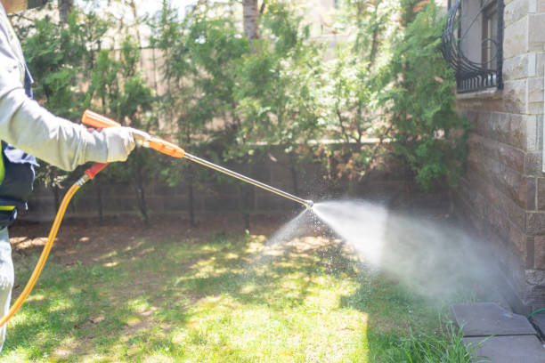Best Best Pest Control Companies  in Timberne, LA
