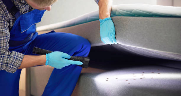 Best Cockroach Control Services  in Timberne, LA