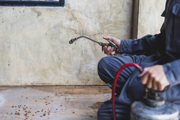 Best Pest Prevention Services  in Timberne, LA